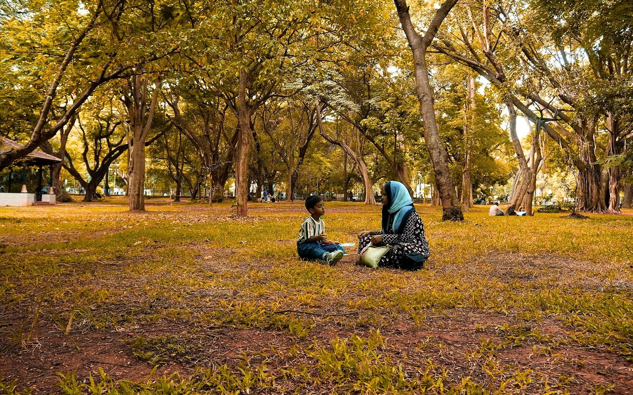 A Guide to Scottsdale Parks