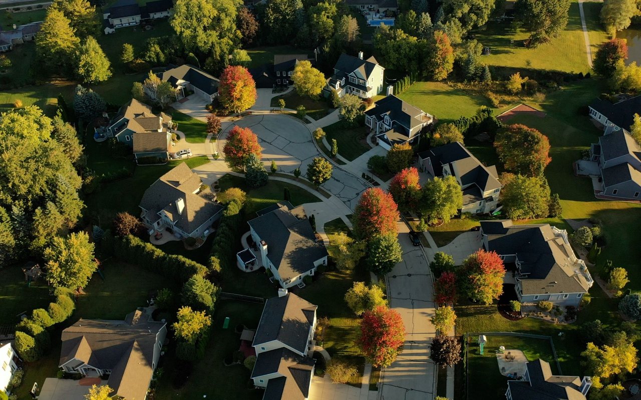 Elkhorn