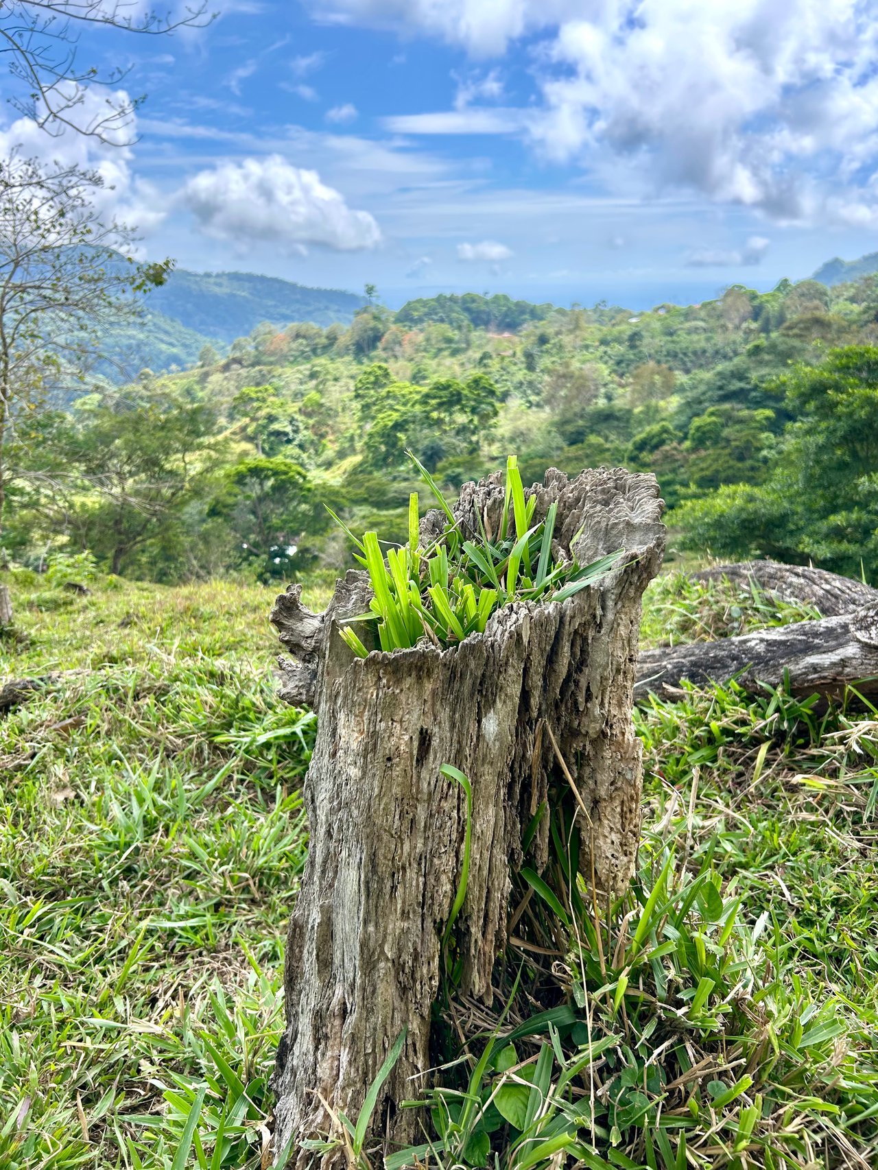 Gorgeous Land in San Luis Morete - Uvita - Over 17 Acres