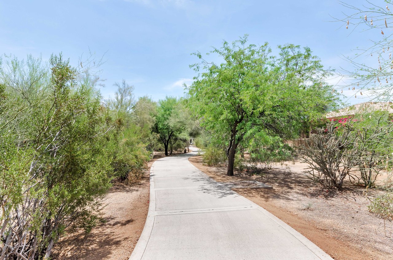 20802 N GRAYHAWK DR 1003,