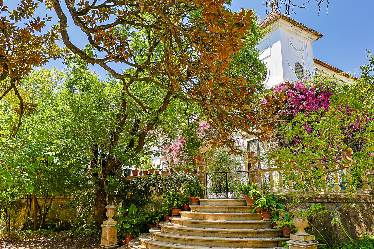 Magnificent 17th-Century Palace with  76,400 m² Estate Near Coimbra
