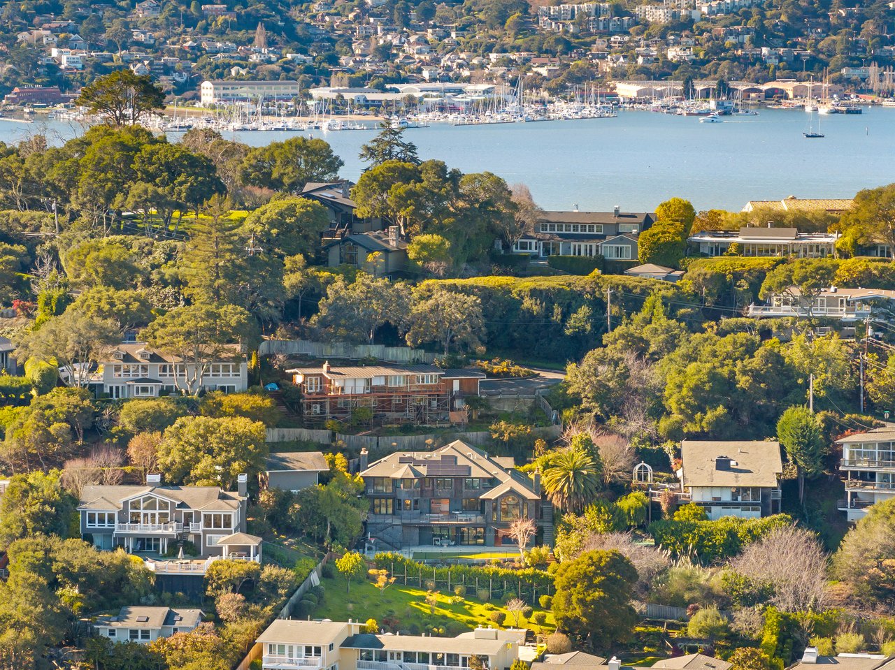 Stylish and Renovated Belvedere Beauty