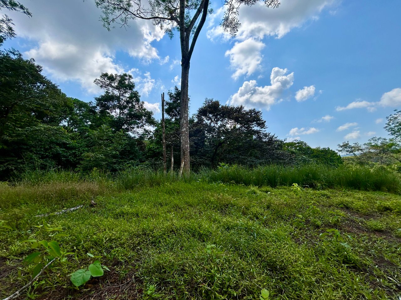 Beautiful Lot in Phase 9 Ojochal, Gated Communuity 