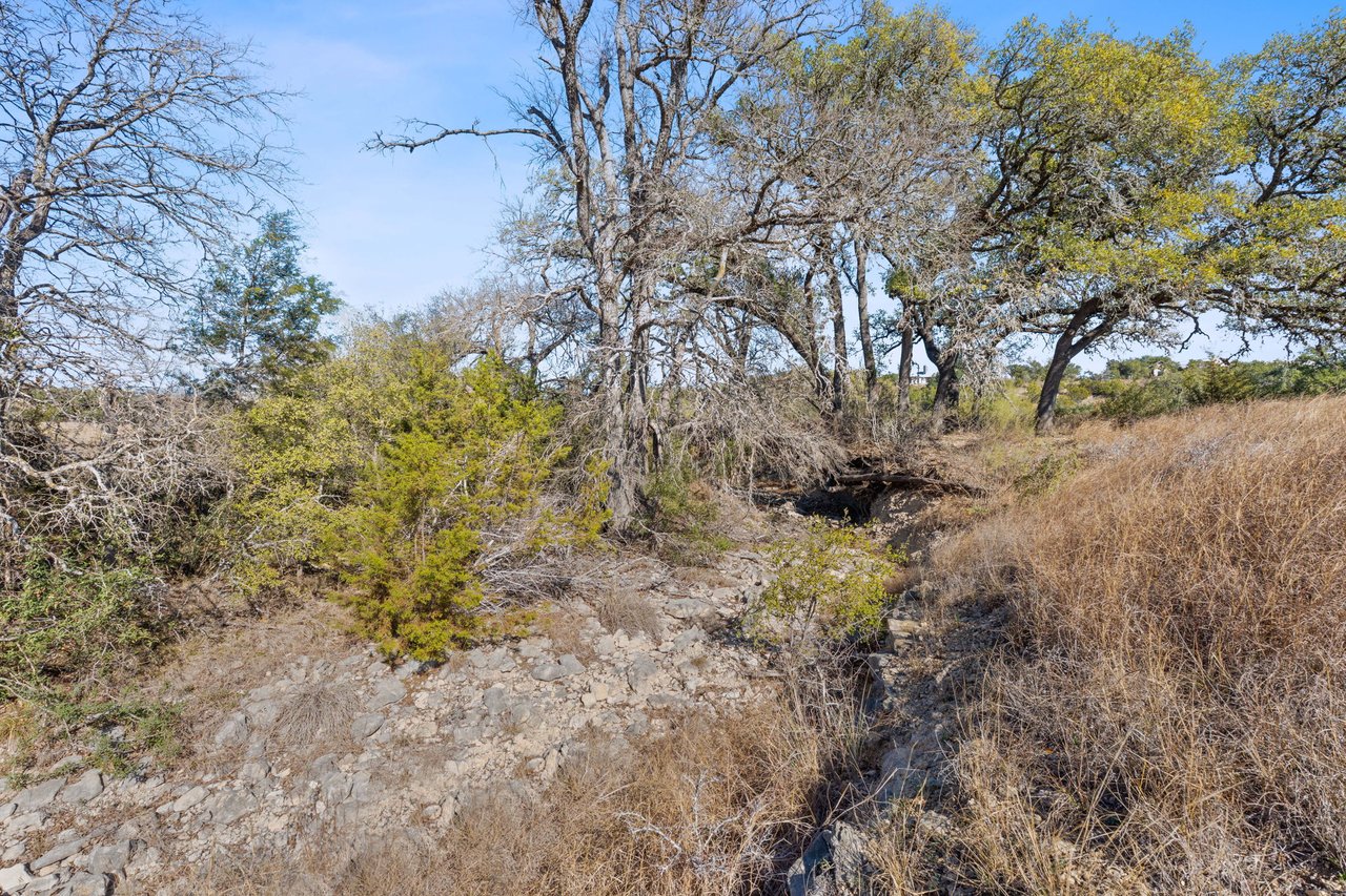 100 Dario Dr. Dripping Springs  Tx 78620