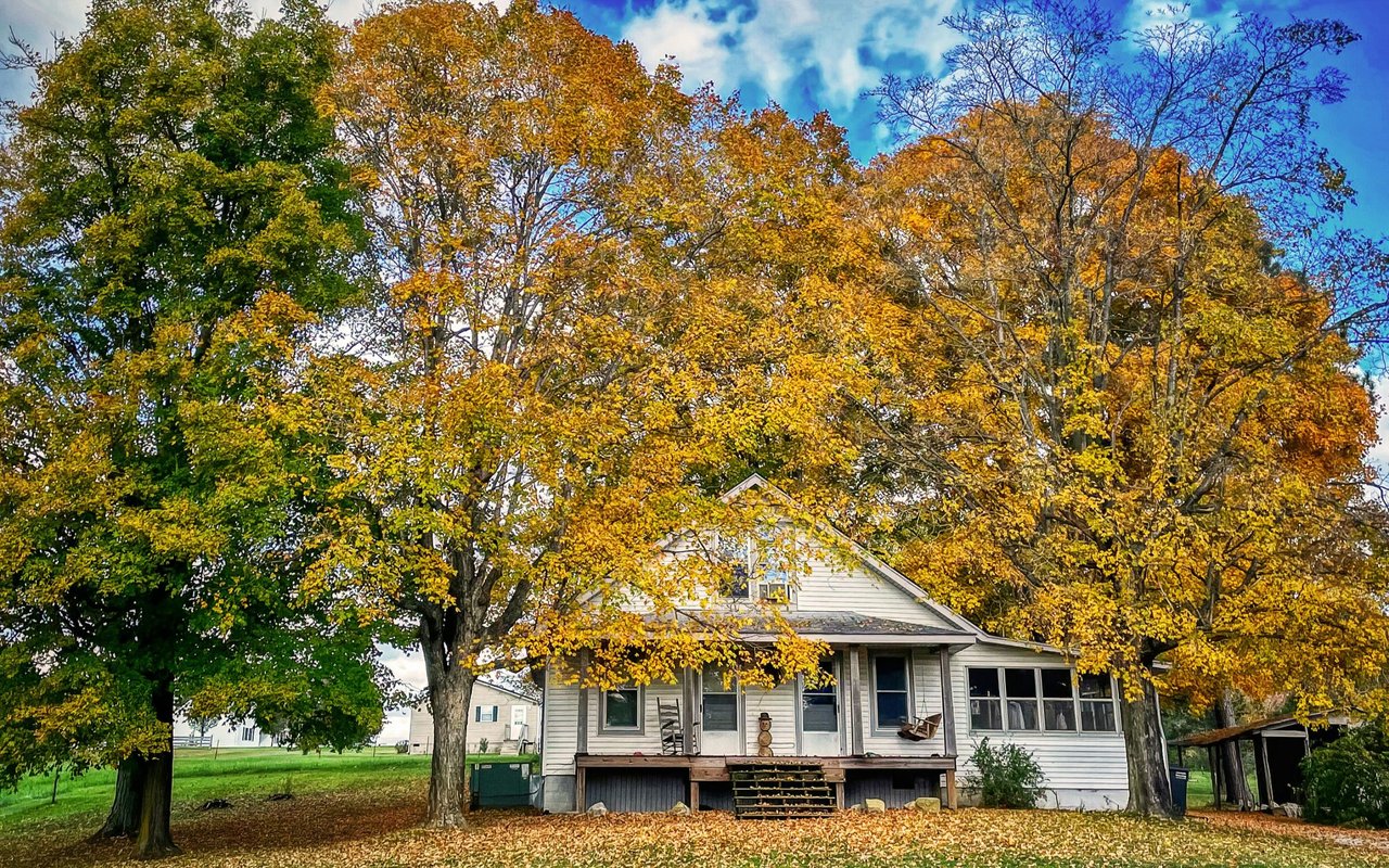 Firebrook