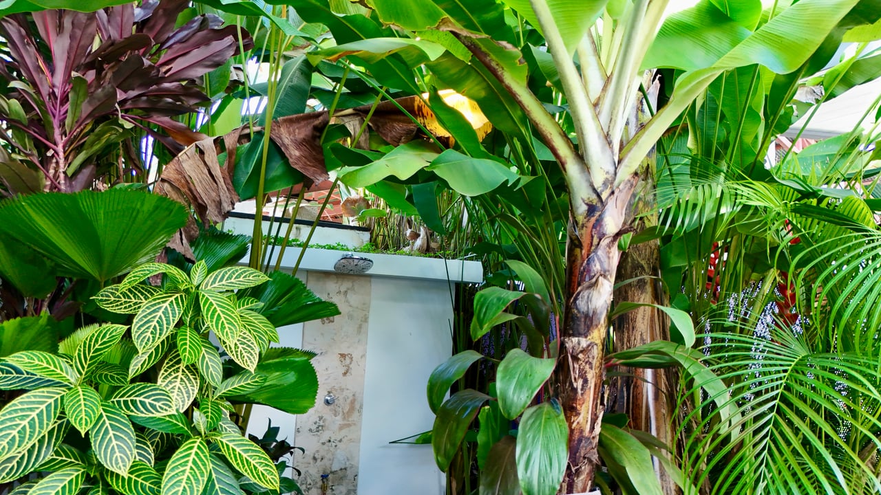 Walk-to-Everything Uvita Retreat | 3BR Home Minutes from the Beach