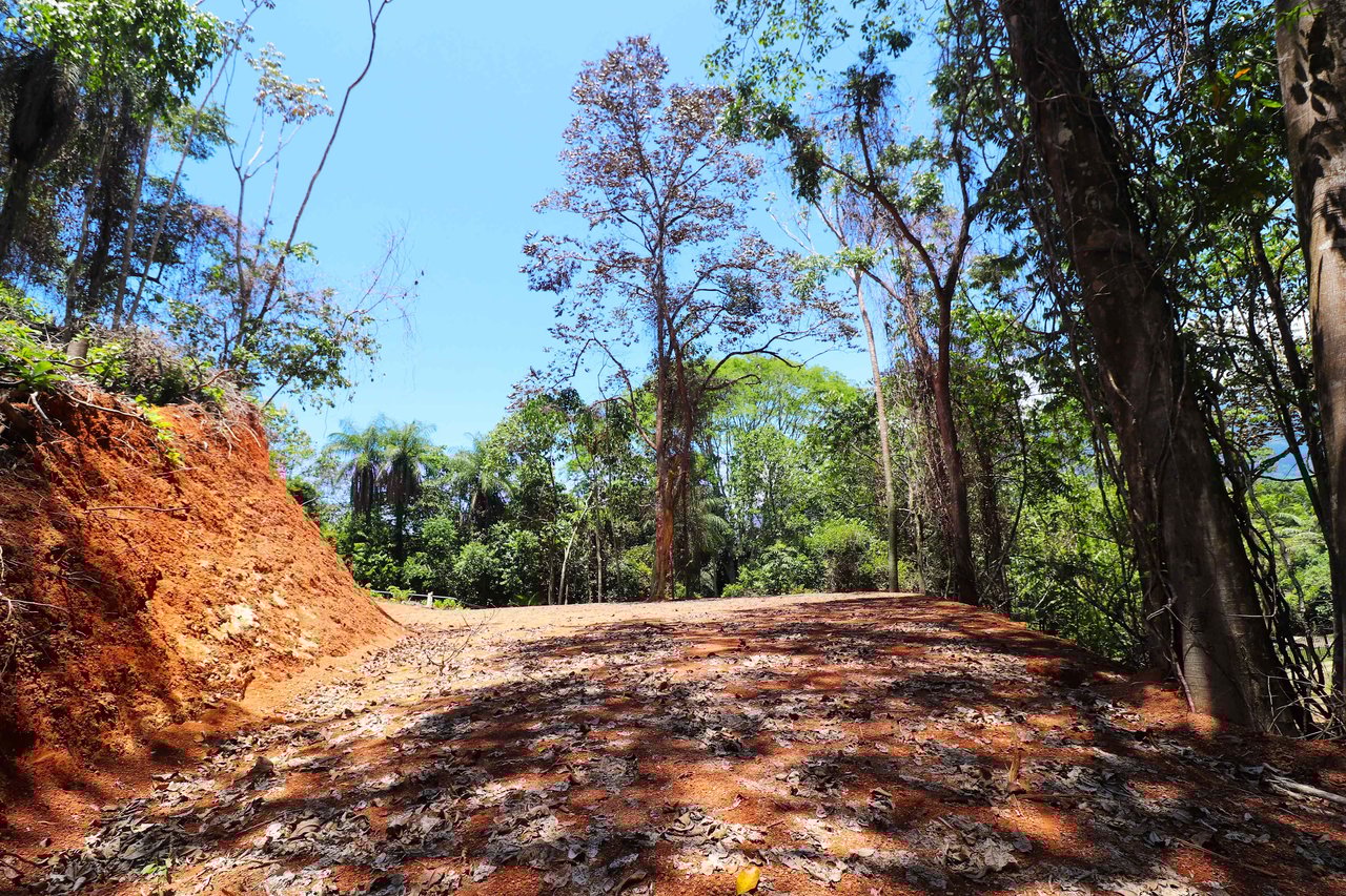 Over One Acre Attractive Lot on the Popular PEREZOSO Road.