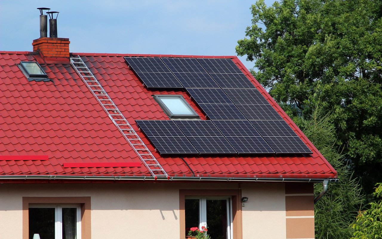 Living Green in the East Bay: Eco-Friendly Homes and Neighborhoods