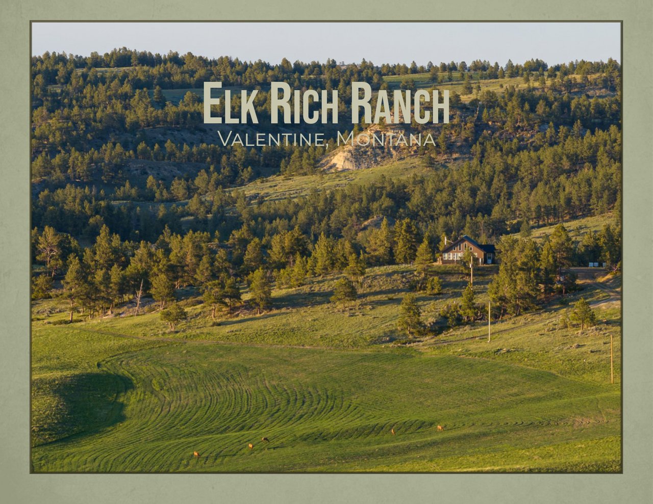 eBook Image