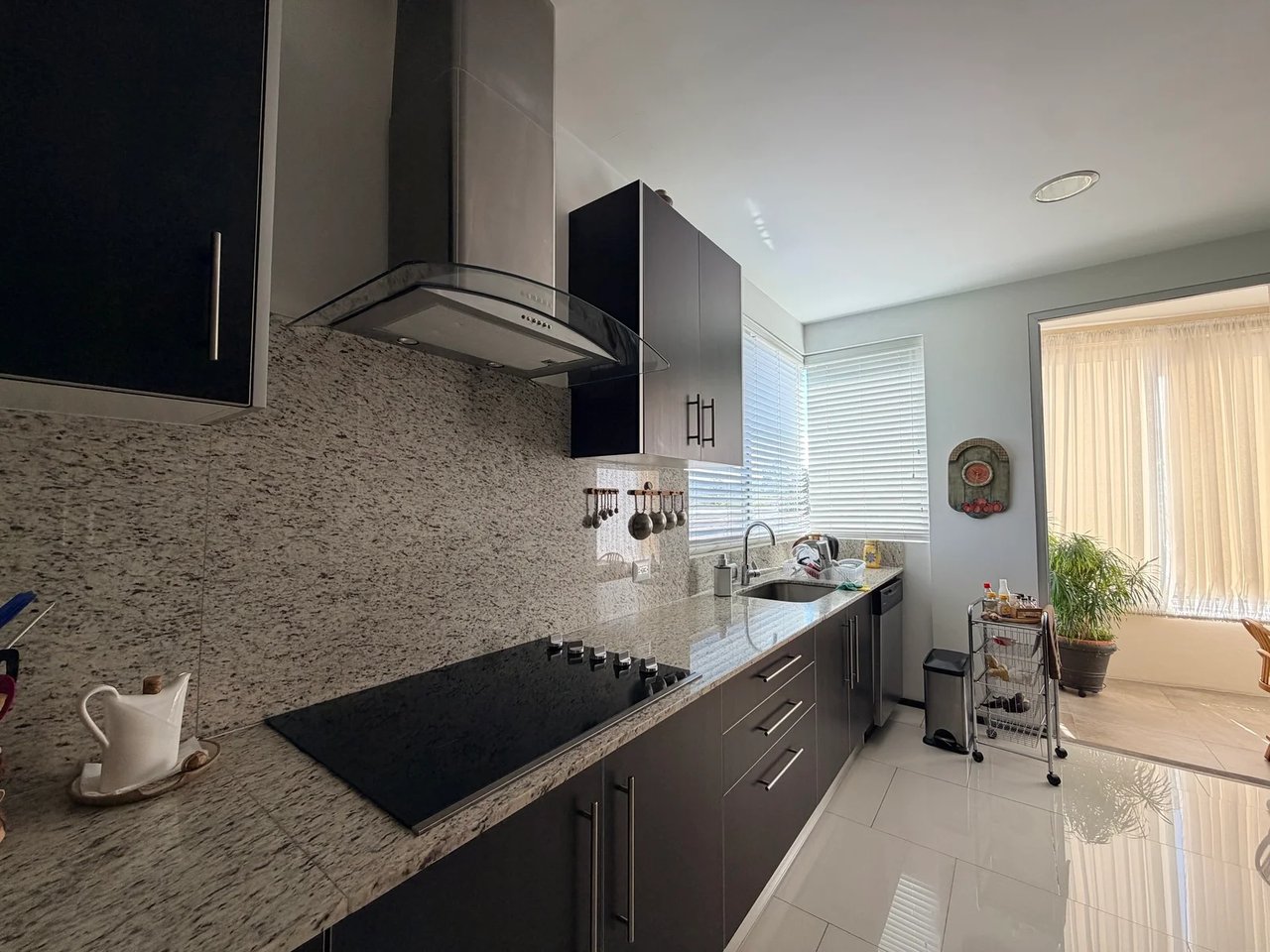 Single Story Terrace Condo, Santa Ana, San Jose