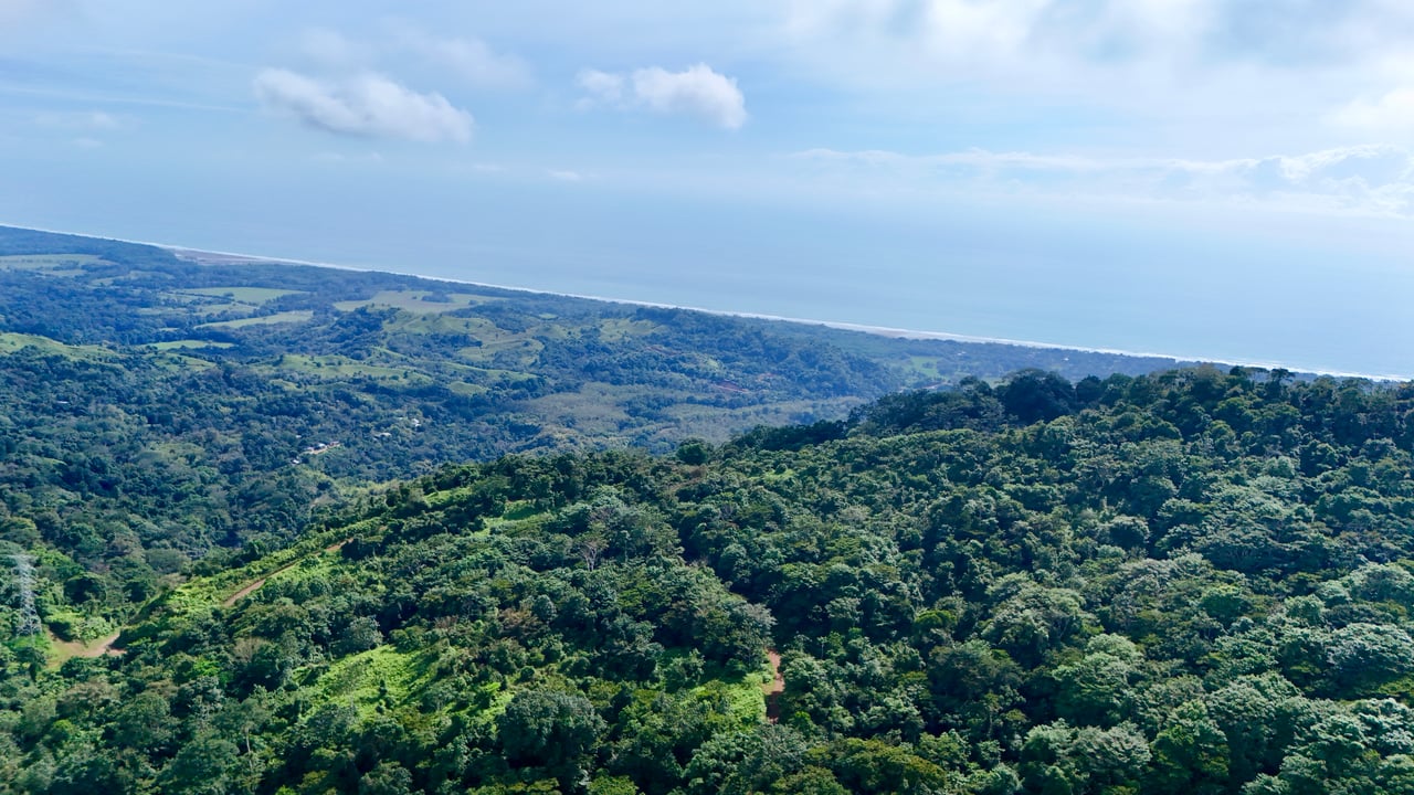 Off-Grid Ocean View Lot | 1.7 Acres in Las Nubes Matapalo Hills 