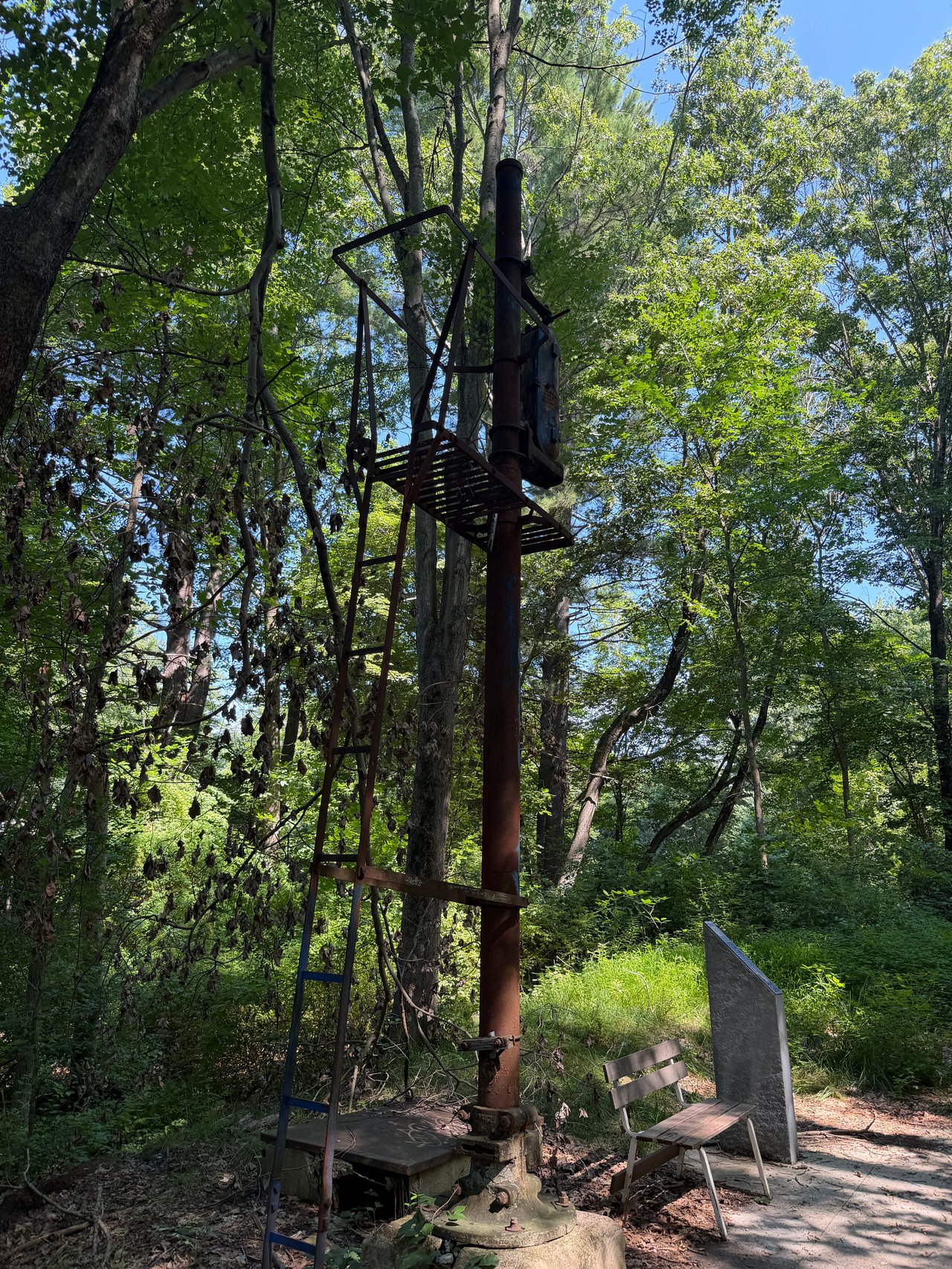 Bruce Freeman Rail Trail: Exploring Sudbury’s Newest Section
