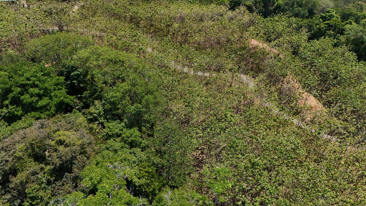 Prime 1.24-Acre Land in Matapalo / San Andrés – Ready to Build