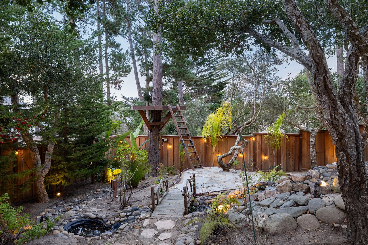 Spacious Skyline Forest Living