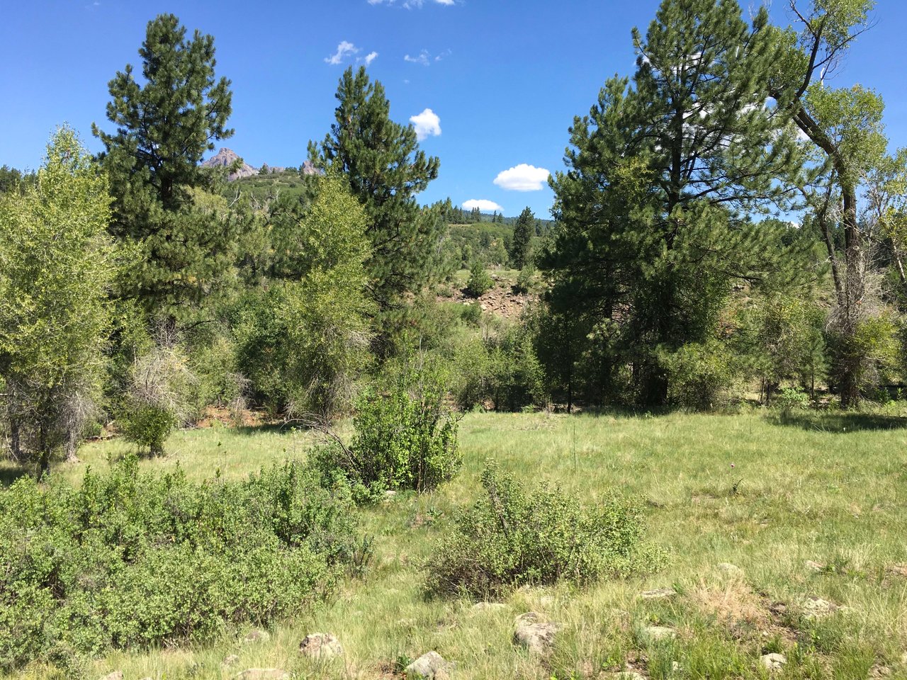 Southern Colorado Riverfront Mountain Ranch