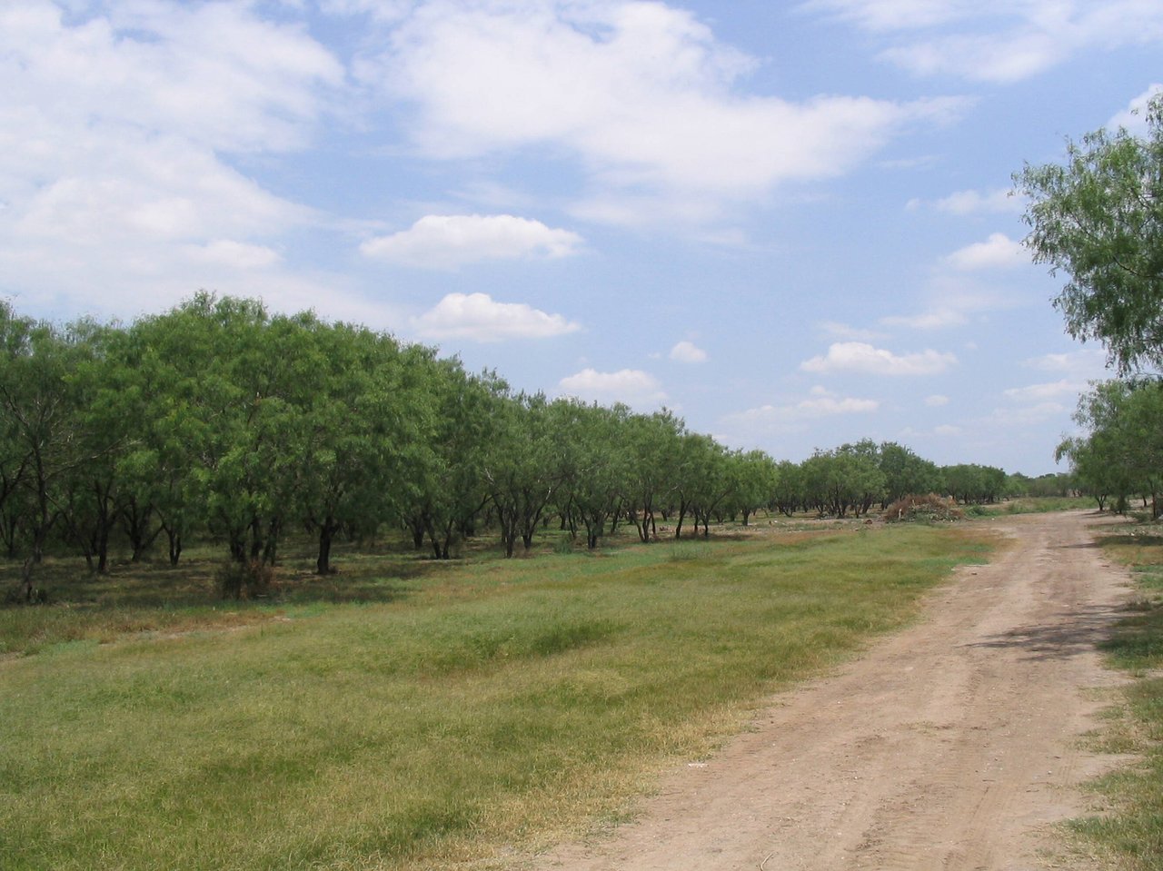 51.5 Acre Site near Interstate 2/Expressway 83