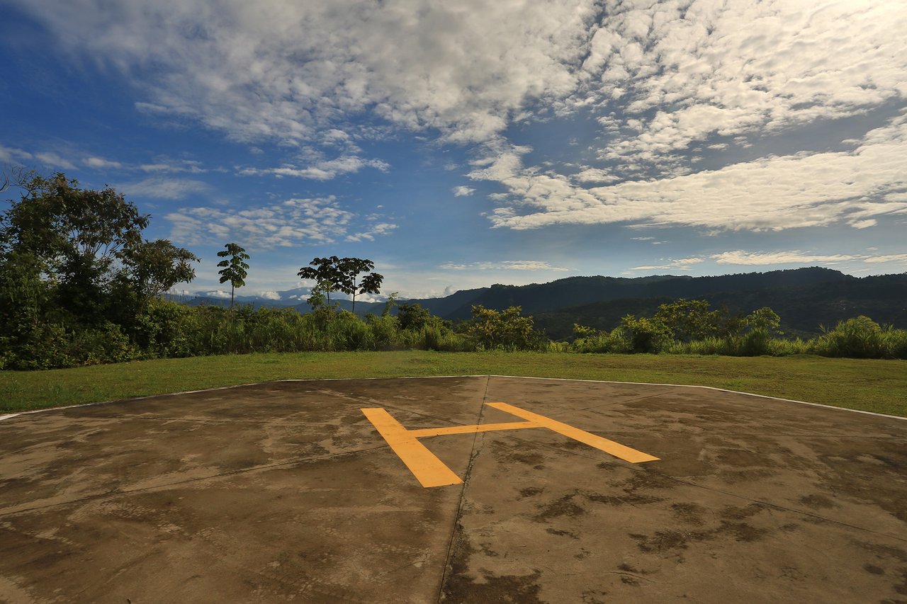 Casa Sanctuary ·  Luxury Jungle Villa · Whale Tail View