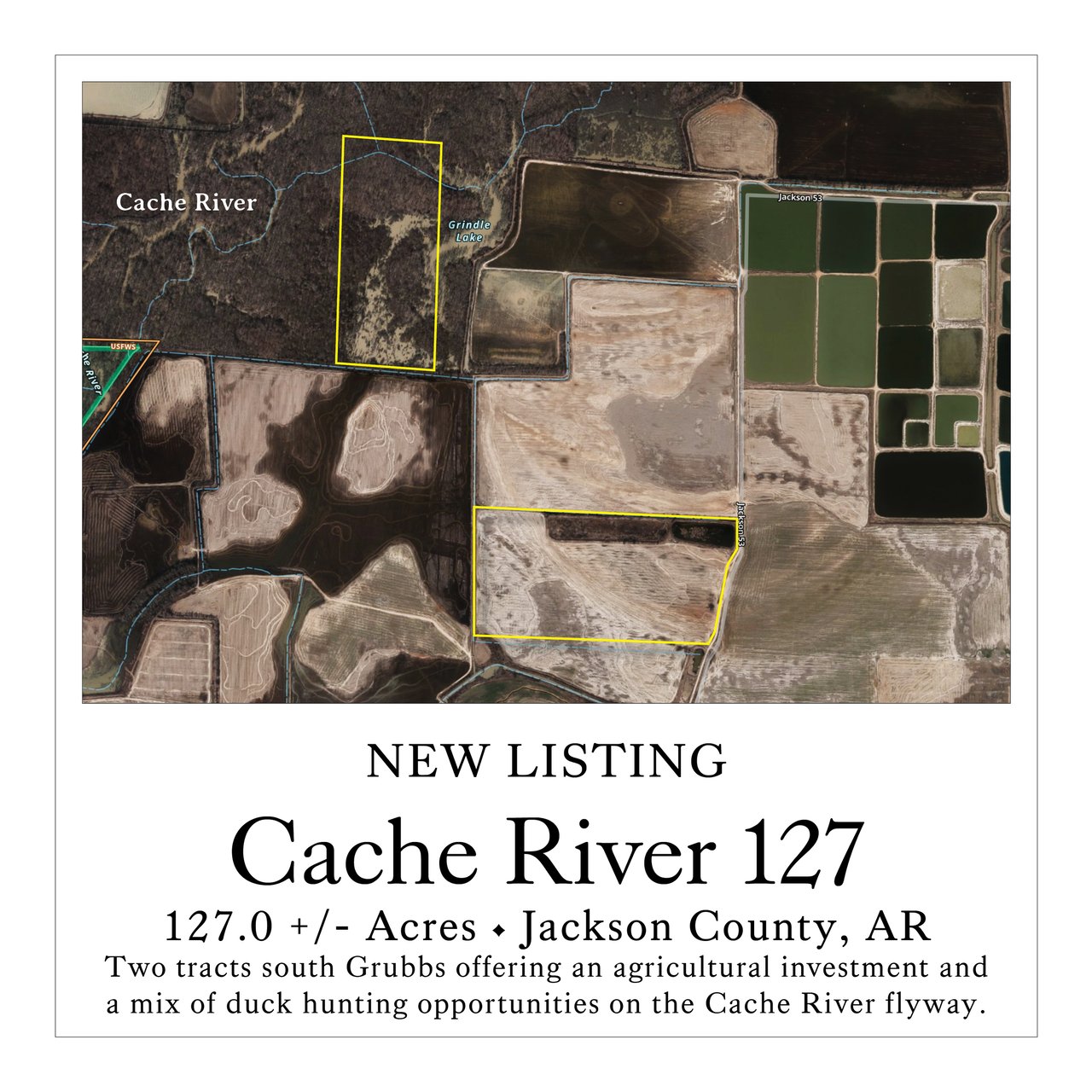 Cache River 127