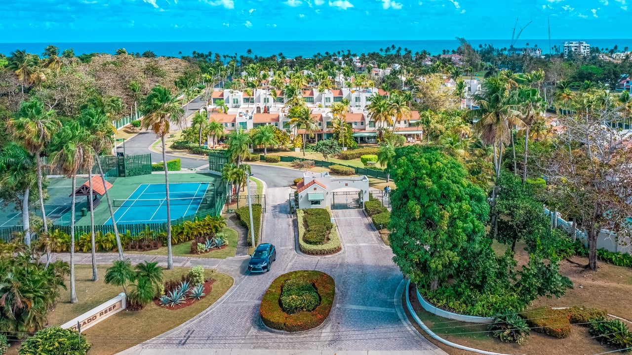 Dorado Reef 53