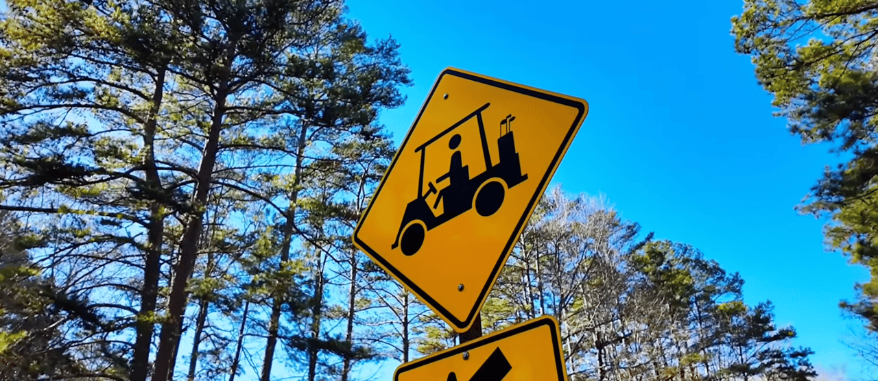 The Real Reason People Are Moving To Peachtree City | Local Interviews!
