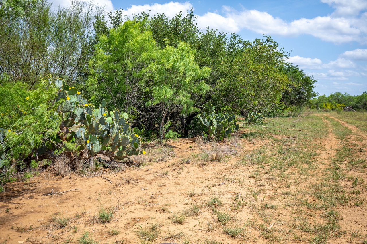 574 PR Goose Creek Ln | 34± Acres | Atascosa County