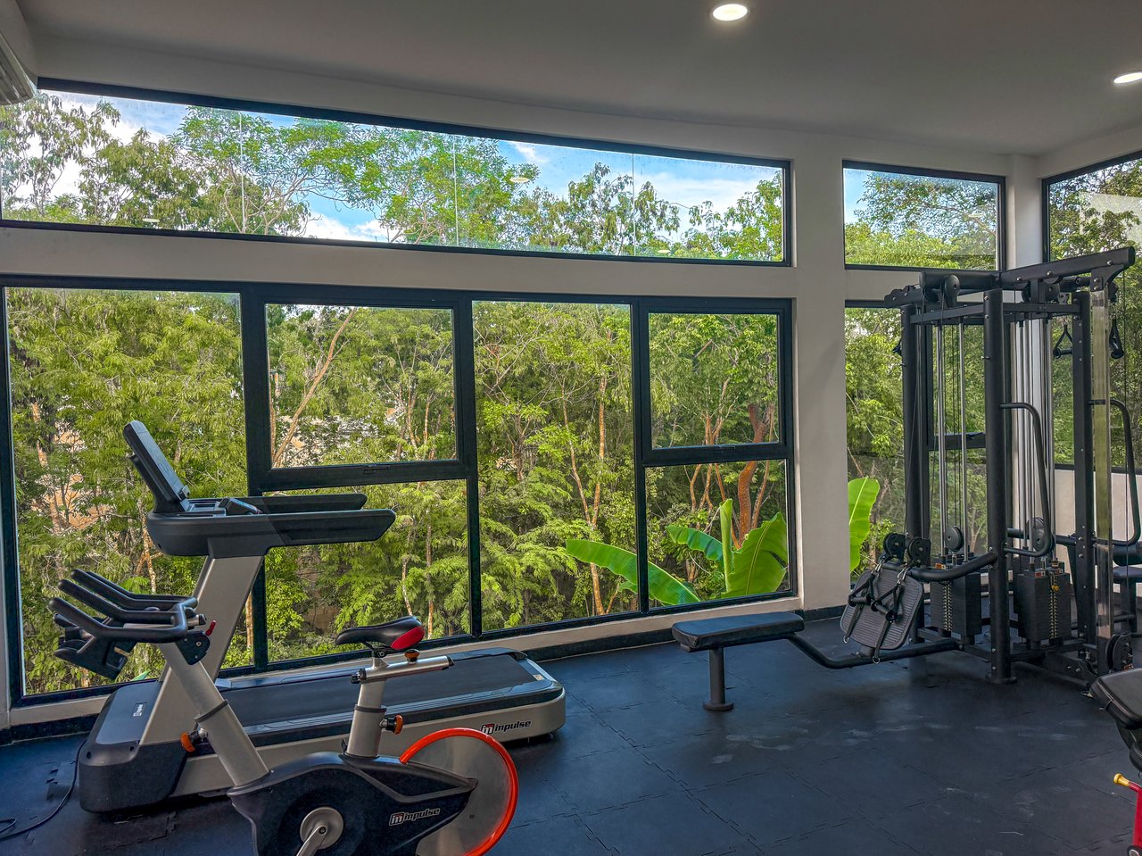 Studio Naia  | Incredible Price