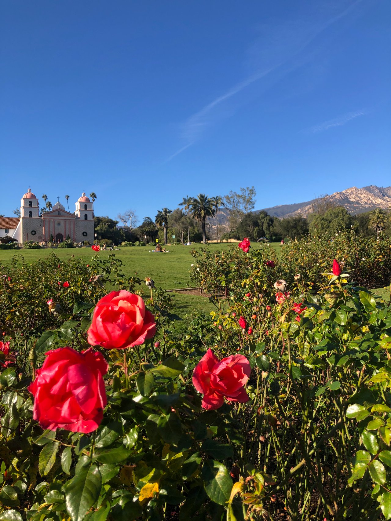 Summer in Santa Barbara:  Your Ultimate Guide to Coastal Living, Events, and Local Favorites