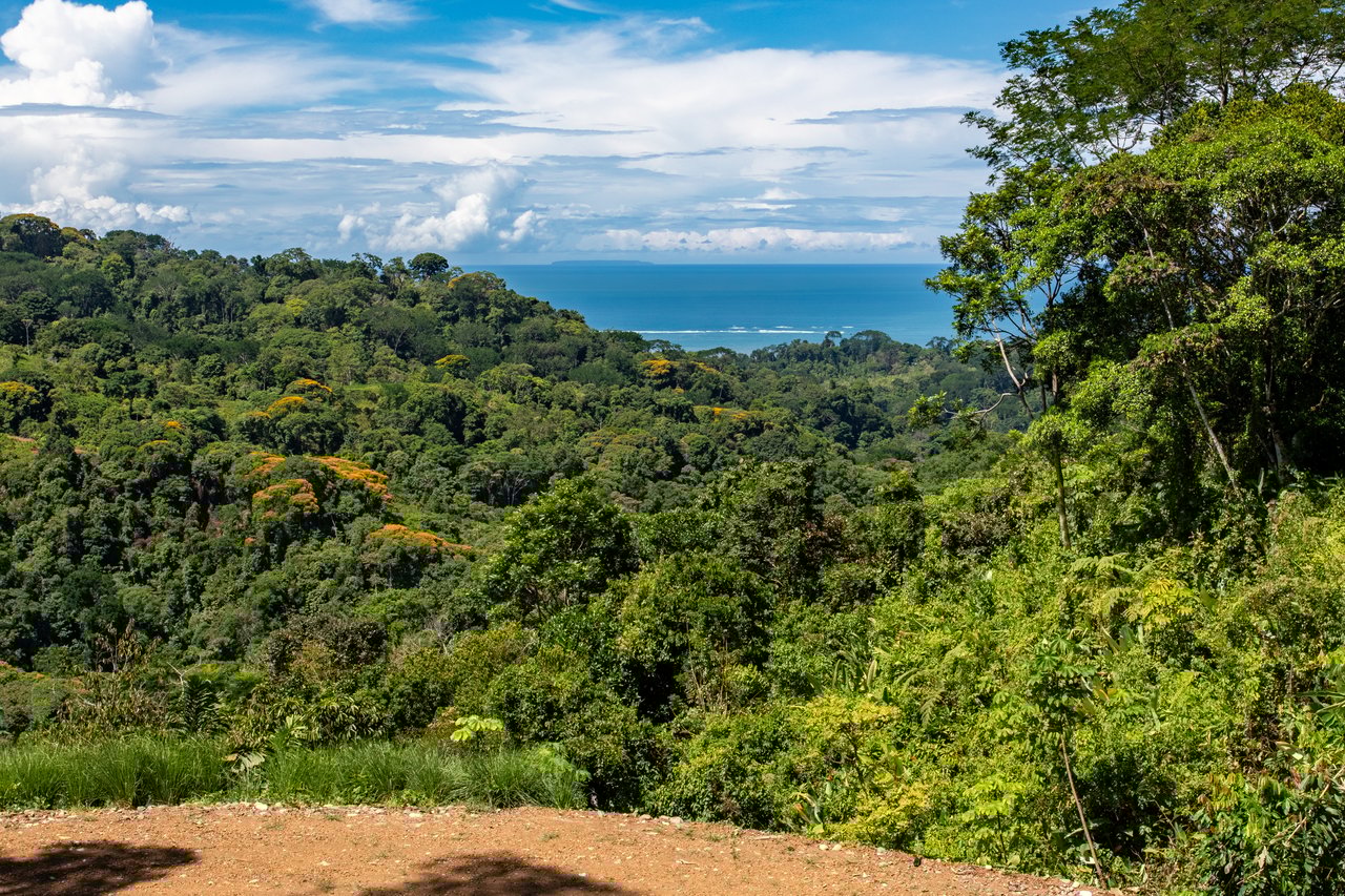 Private 5-acre Riverfront Property with Ocean & Mountain Views | San Josecito