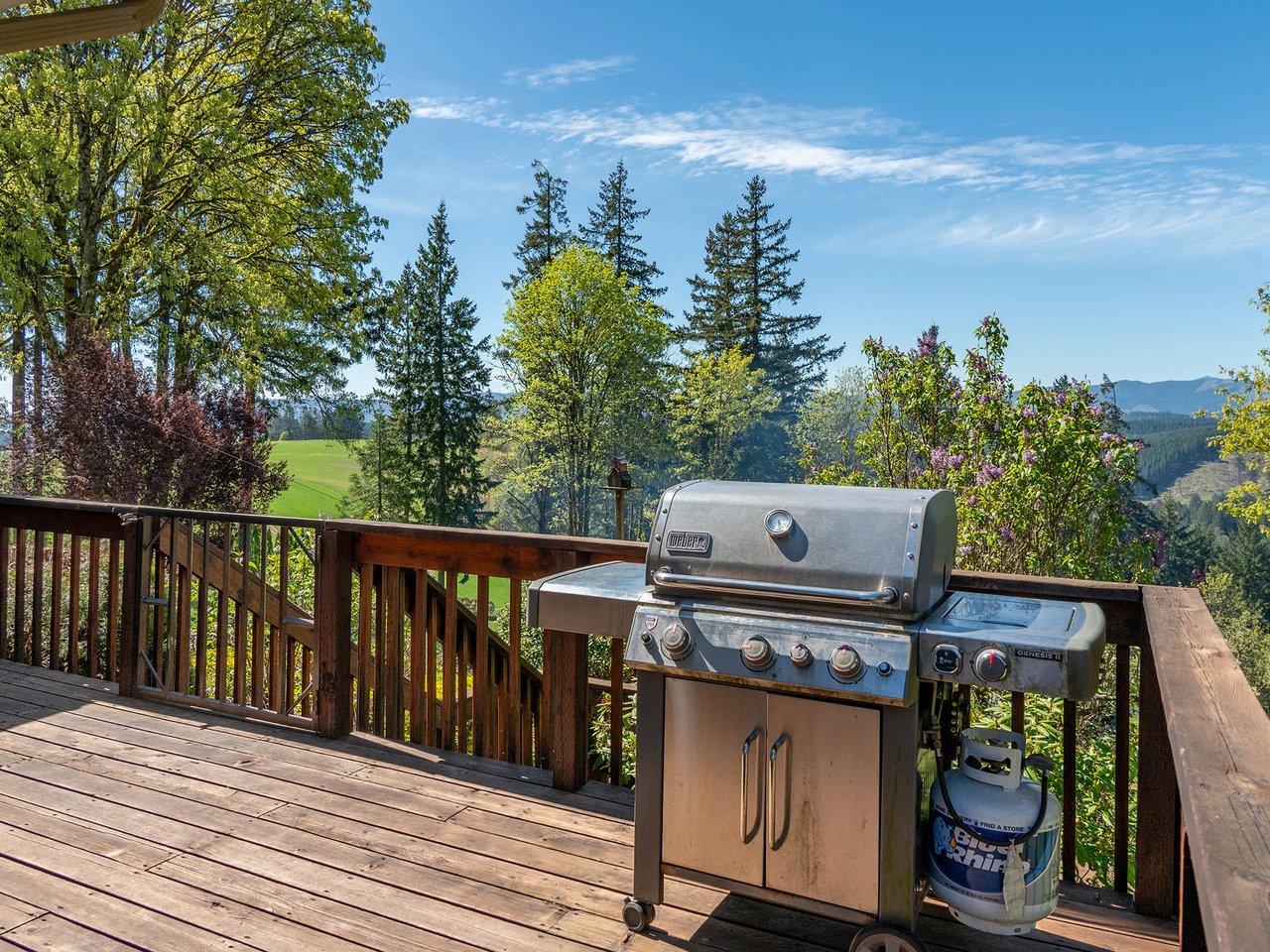 45045 NW ELK MOUNTAIN RD