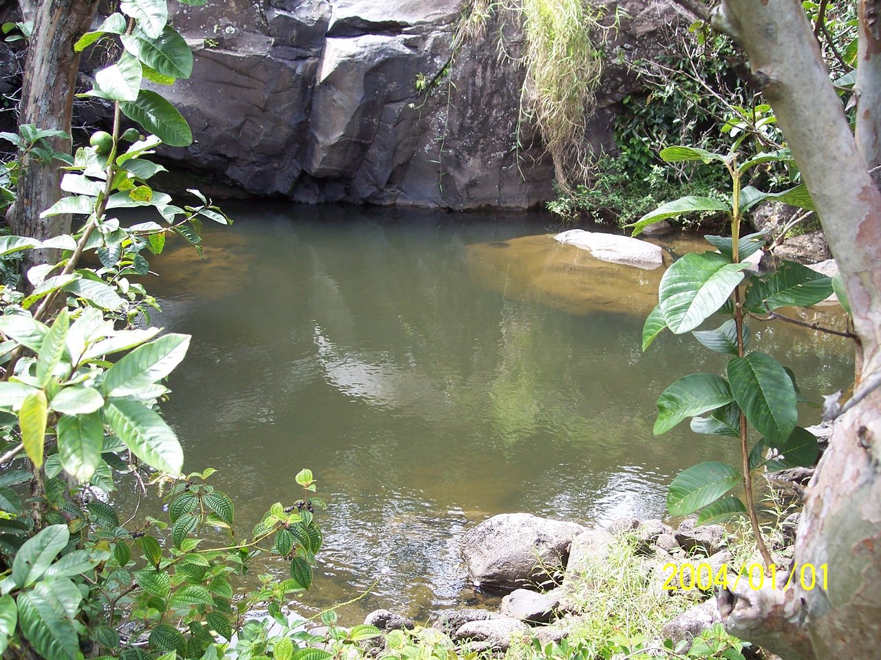 HAMAKUA COAST BIG ISLAND