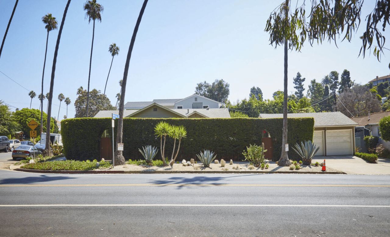 light-filled, warm, and inviting