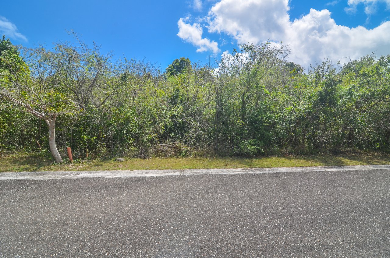 Lot #31 Lyford Hills