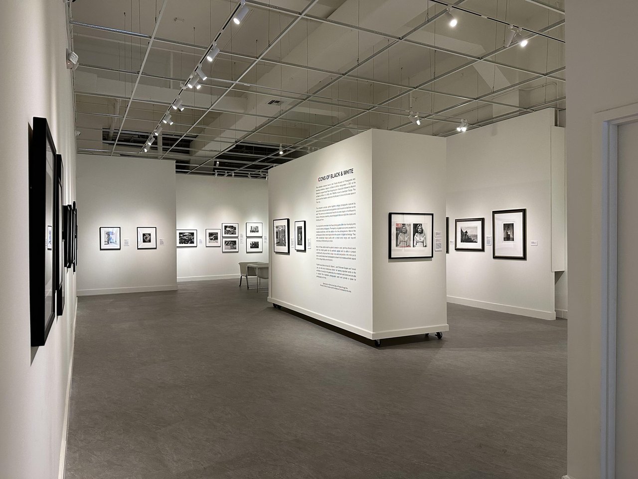 Modern museum gallery featuring contemporary artwork and spacious exhibits.