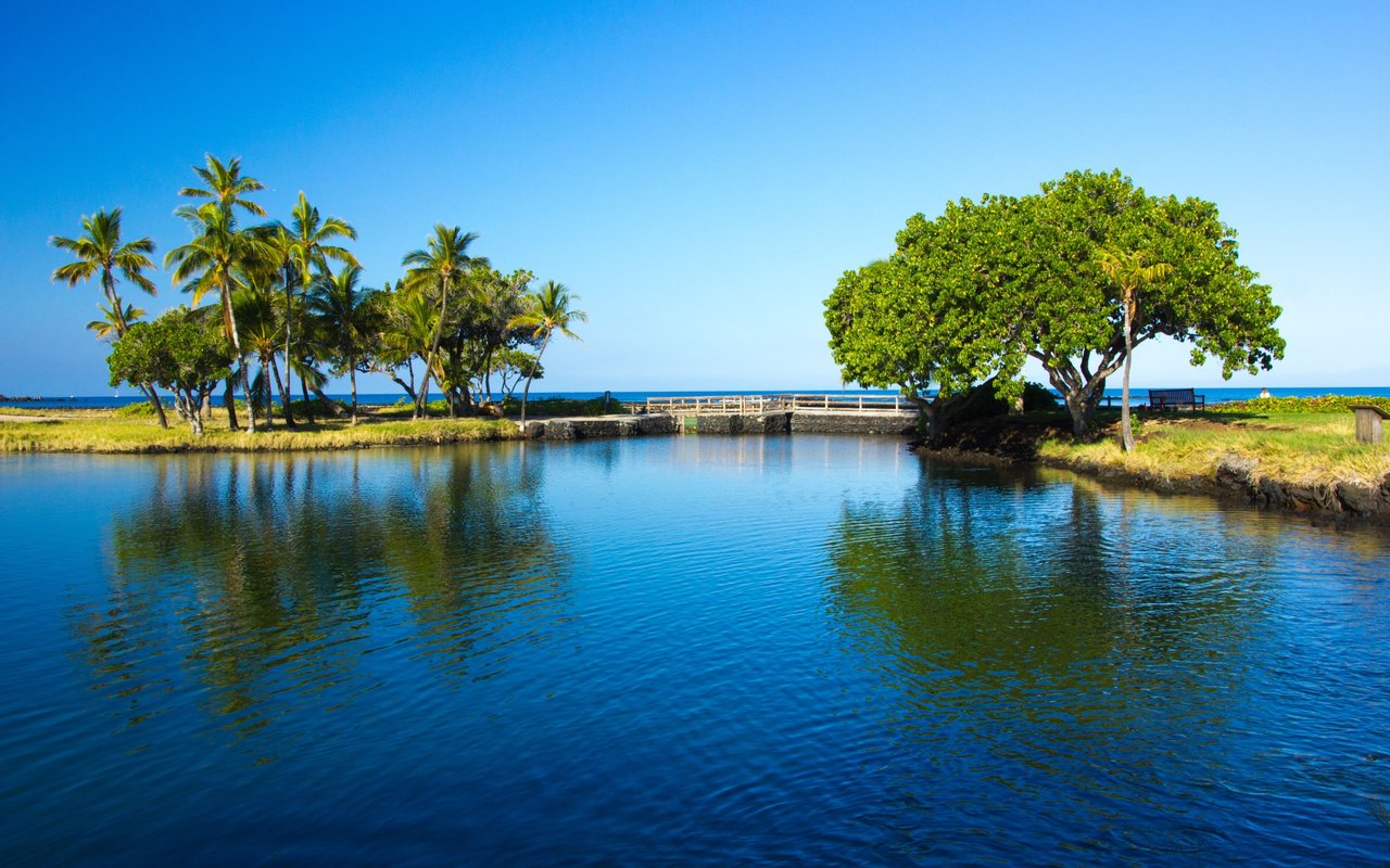 Blue lagoon with a small bridge, palm trees, and the ocean on the horizon.