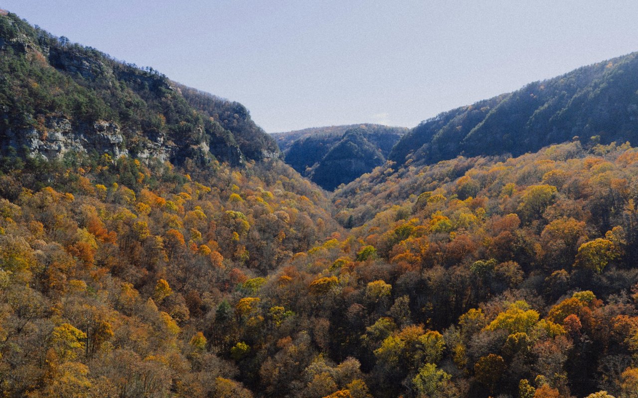 Engel and Völkers Expands Services Into the North Georgia Mountains
