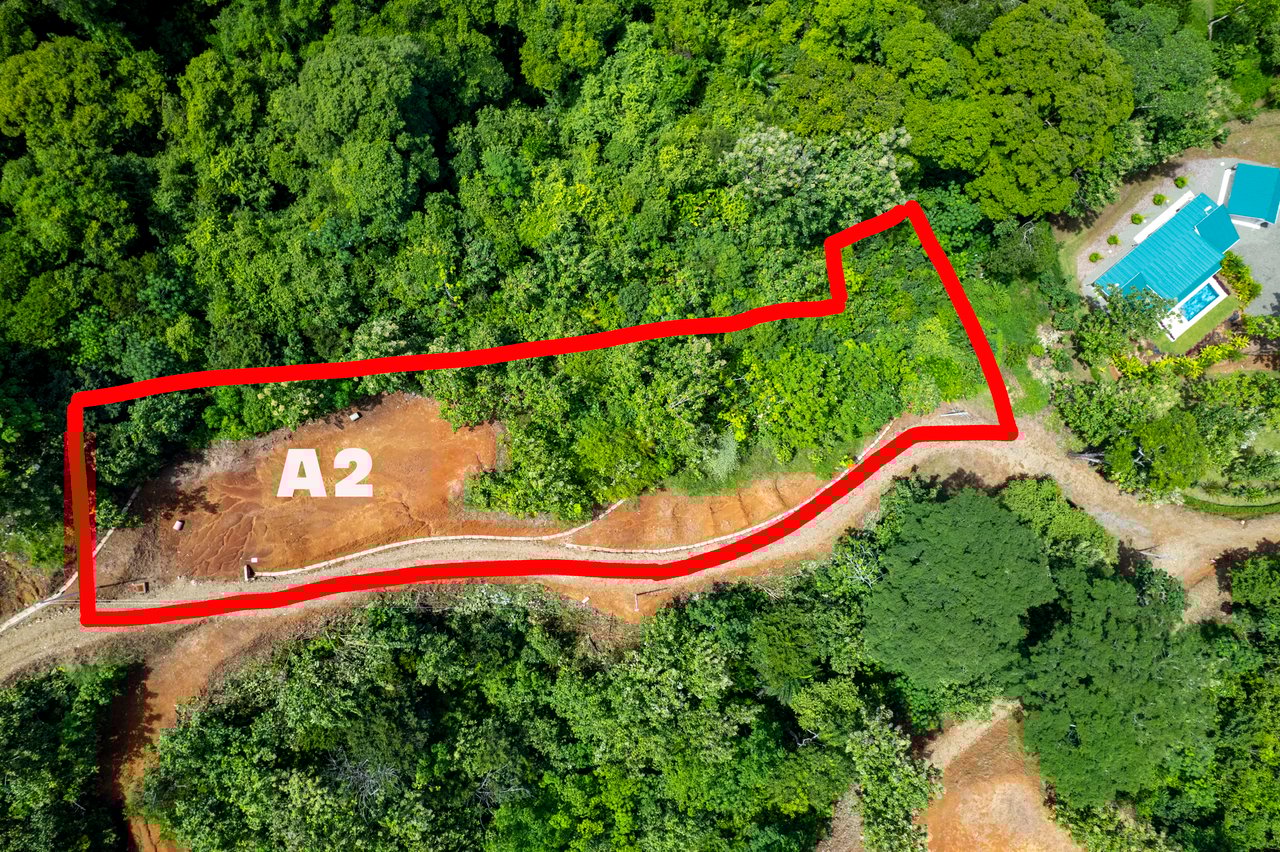 ¡New Gated Development in Matapalo - Ocean View and Flat Land, ready to build!