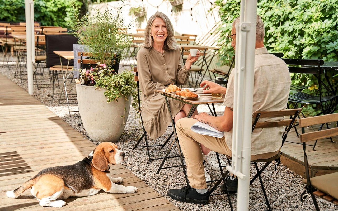 Pet-Friendly Restaurants in Tucson, AZ