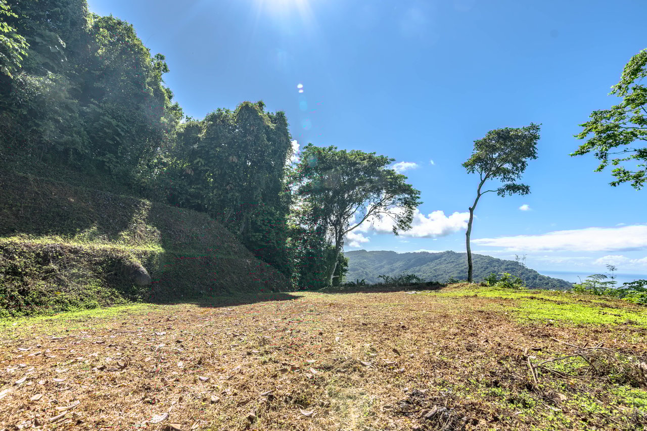 A Rare Thermal-Wellness Development Opportunity - Cacao Estates