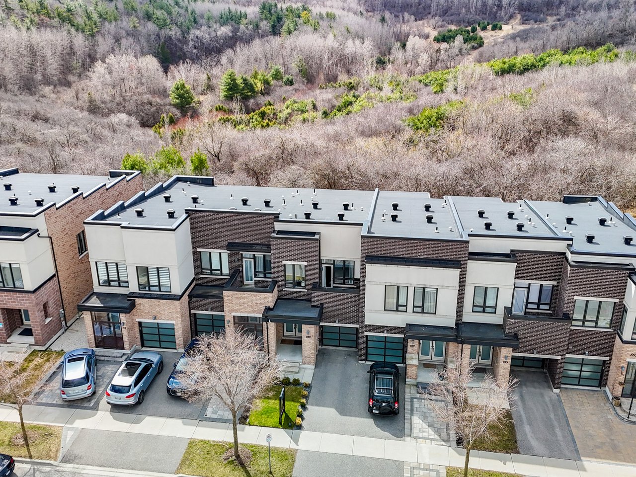 109 Anchusa Drive
