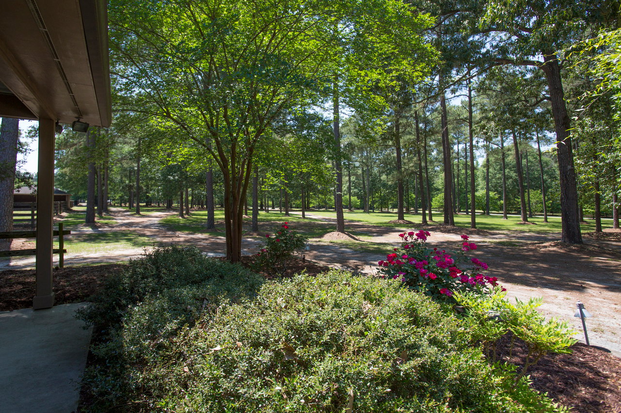 Equestrian Estate at 411 New Hope Church Road