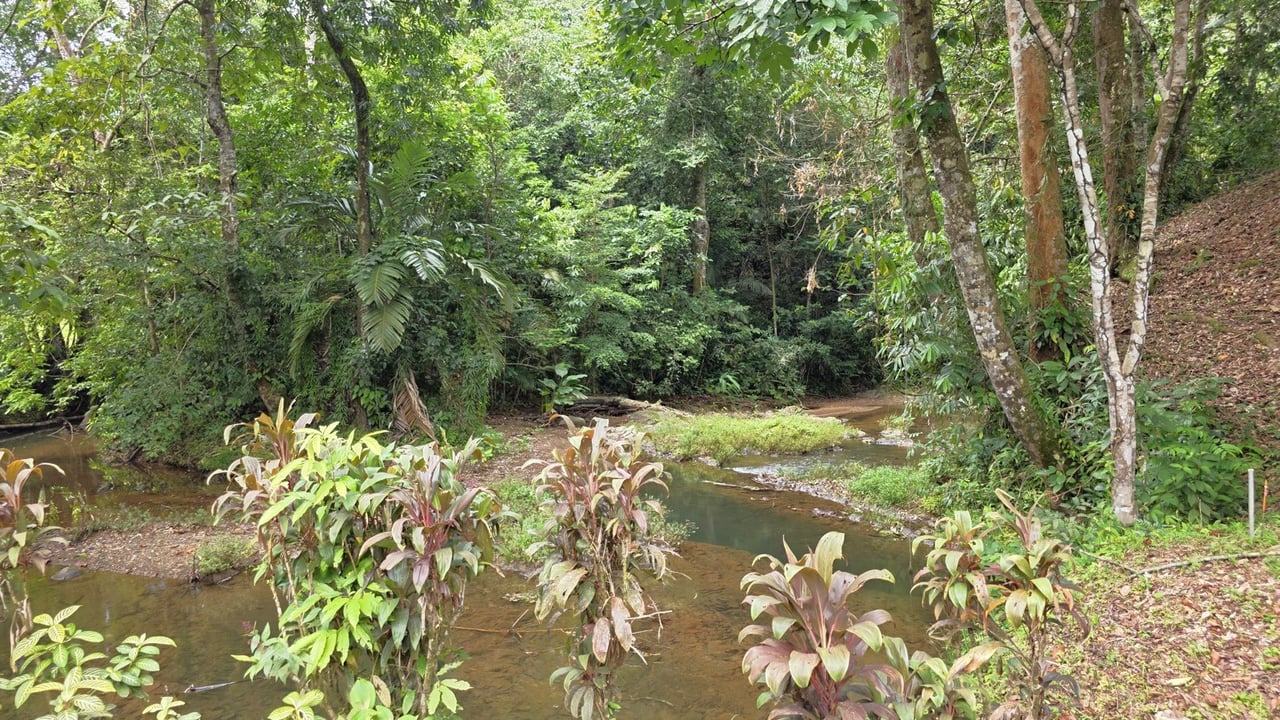 Refreshing Riverfront Retreat in Ojochal