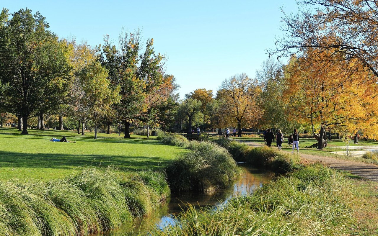 Silver Springs