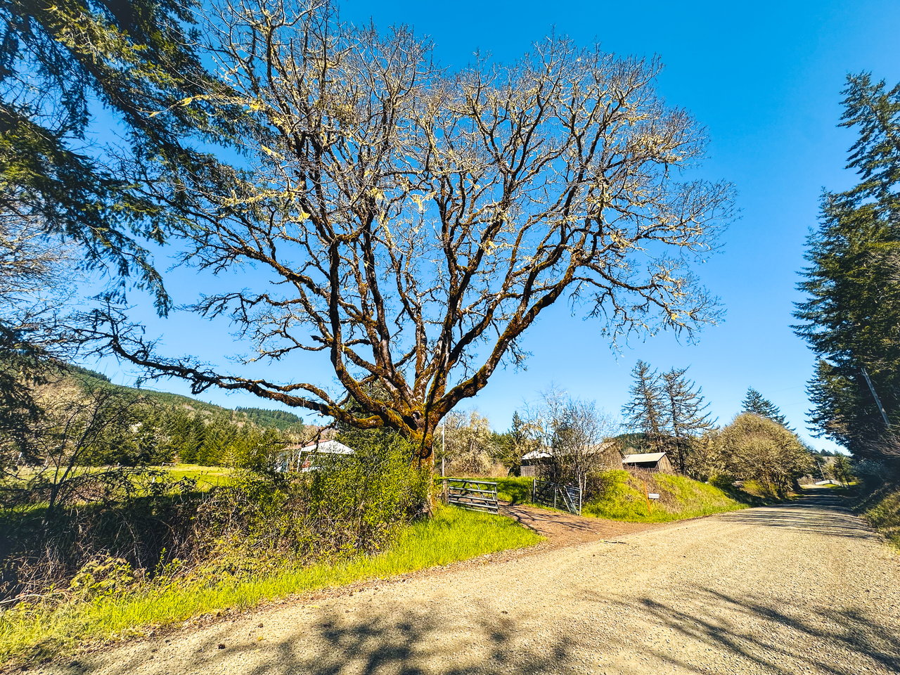 HARRIS FARM & FOREST