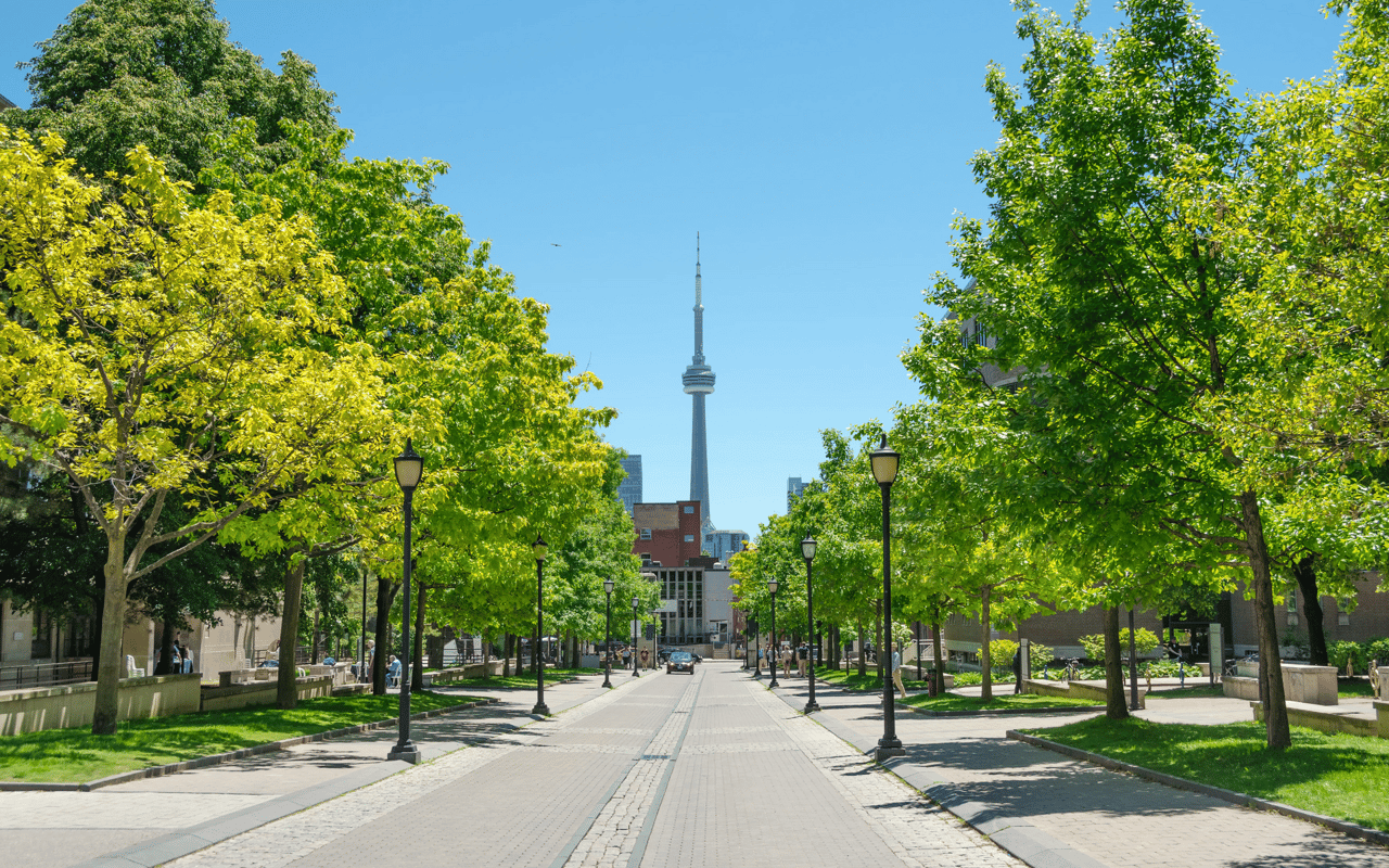 Trinity-Bellwoods