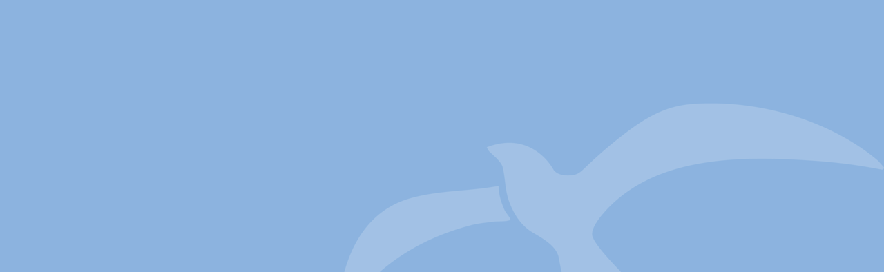 1.⁠ ⁠Discovery & Objectives