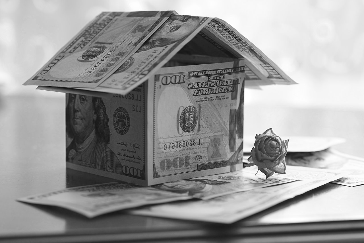 A house made of hundred-dollar bills sits among scattered banknotes beside a rose.