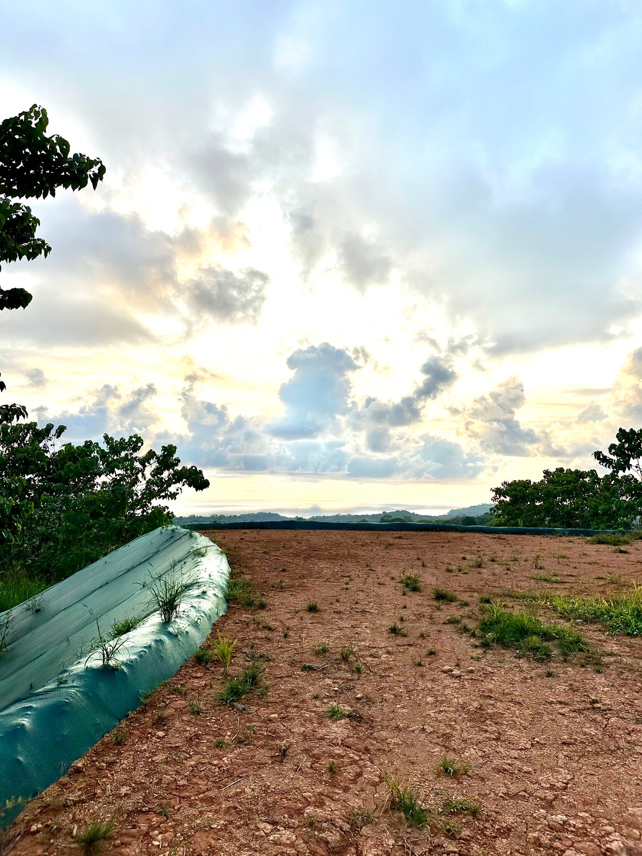 2.77-Acre Ocean View Lot in Phase 11 Ojochal – Ready to Build!