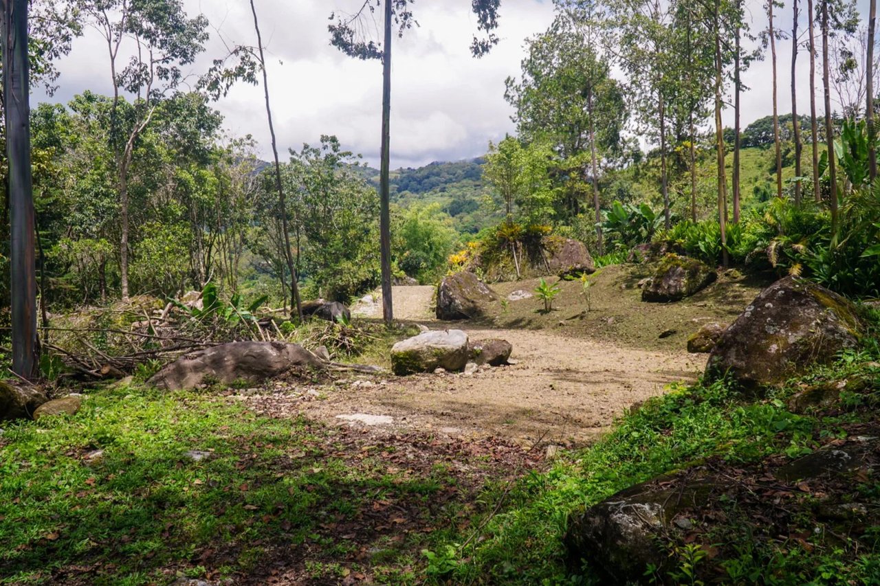 Riverfront Multi Family Compound, Perez Zeledon, San Jose