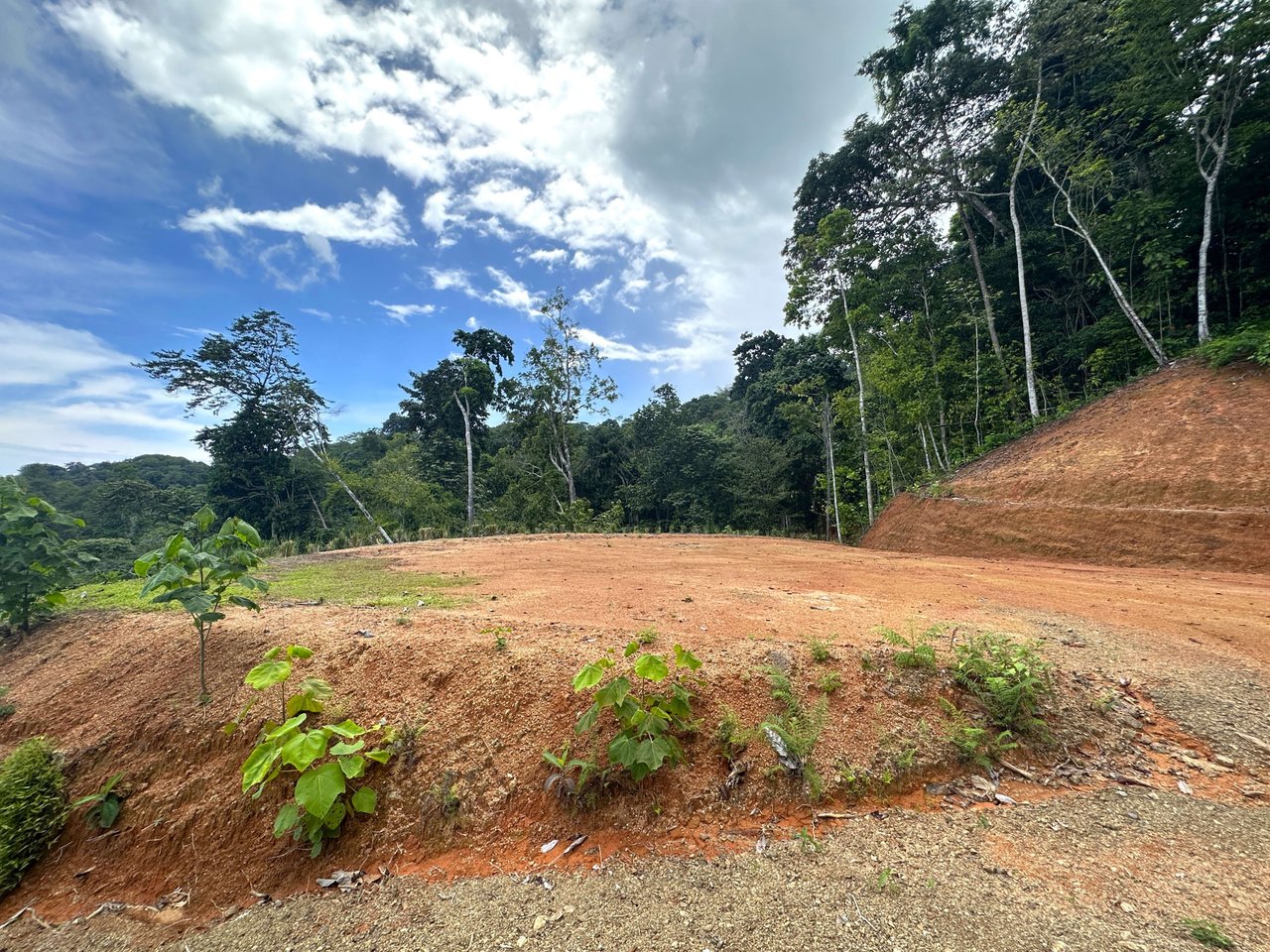 11.24 Acres With Two Stunning Ocean View Building Sites In Cinco Ventanas! Ojochal (Cinco Ventanas, Puntarenas, CR - 60504)