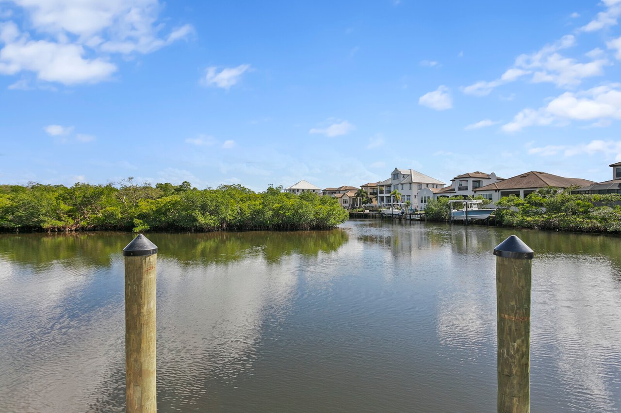 Waterfront homes, private docks and mangroves along a residential canal in the Tampa Bay area